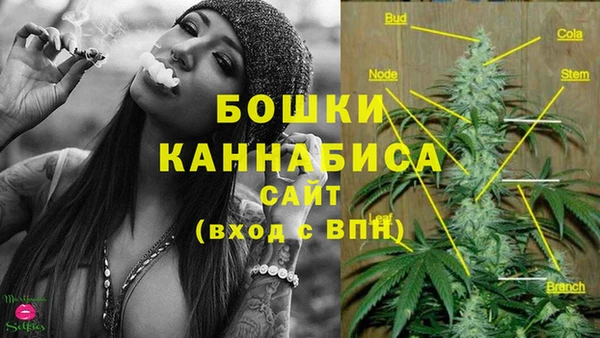 мяу мяу мука Дмитриев
