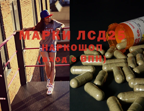 мяу мяу мука Дмитриев