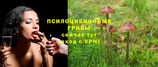 первитин Дмитровск