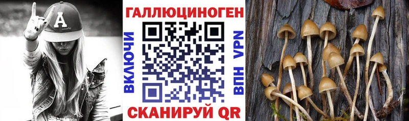 купить закладку Донецк Псилоцибиновые грибы прущие грибы